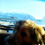 Jeepie mountains