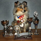Tika met haar prijzen gewonnen in 2010