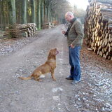 Foto van peter