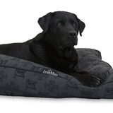 Dit is Rex, zwarte labrador,8 jaar, reu, een schat van een hond. Hij…
