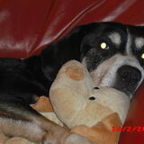 Zonder knuffel ga ik niet naar bed..eh.. bank!