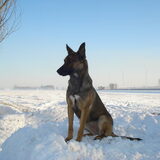 lieve meid, die zyhva