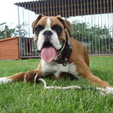 Foto van Ronnie & ««Jara»»