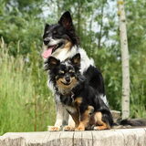 Prinsjes