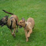 Foto van Hope & Rambo