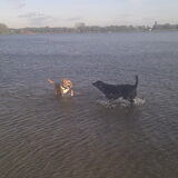 Even het water in =D