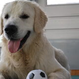 Foto van Clooney