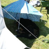 Voor het eerst op vakantie met de tent