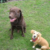 Tobi met z'n beste vriend