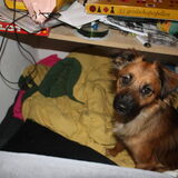 Foto van Suze en de 3