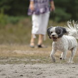 Turbo van Liesbeth