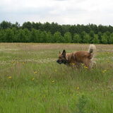 Foto van Melissa & Rosco