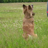 Foto van Melissa & Rosco