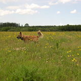 Foto van Melissa & Rosco