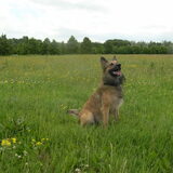 Foto van Melissa & Rosco