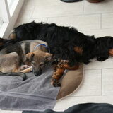 Foto van Ina, Misty en Aysa