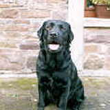 Vakantie huis 2005