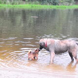 Loonse en Drunense duinen