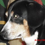 Foto van wendy