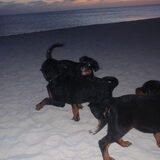 Met broer en zus.Achterste is Tierra
