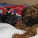Hasco en ons kleine overleden Lucky