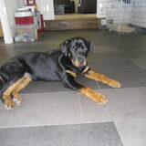 Alweer 6 maanden wat word je groot!