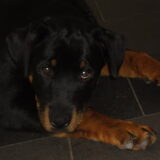 Foto van natalie