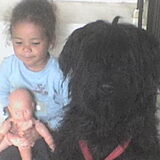 En dit is ons Fieke, een dochter van Cosette, met Satine, onze…