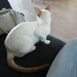 Foto van Eef en Tjibbe