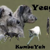 collage gemaakt voor yvonne