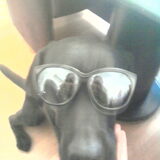 Rufo met zonnebril!