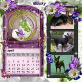 Musky,Kalender 2011 Maand April.