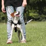 Foto van team Shadow