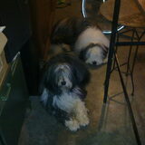 Samen in de garage