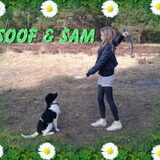 Foto van MaSpi///