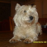 Foto van cathy feunekes
