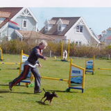 1e behendigheidwedstrijd