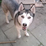maart 2011