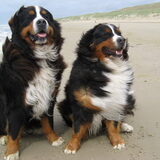 Wat een wind he.