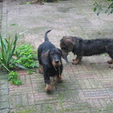 Foto van Erna & Gido