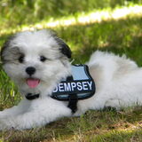 Foto van Melissa, Dempsey, Taiko, Minos & *Nina*