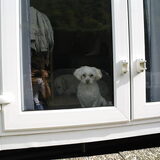 HALLOOOOOO doe die deur eens OPEN!!!!