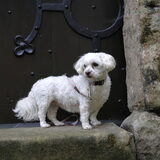 strike a pose;)