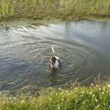 Gaan we spelen???