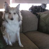 samen met indy