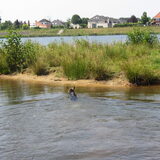 Foto van liesbeth,Turbo,Luna, Levi en Faith