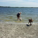 Voor het eerst zwemmen met ons! Even checken of hij van water houd!