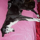 Liefde