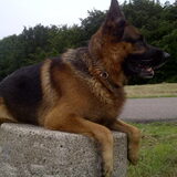 statusfoto