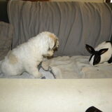 Dempsey & Demi